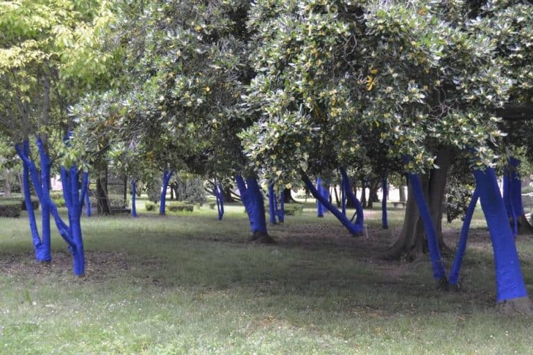 Girard-Perregaux Support “Blue Forest” Project at Venice Art Biennale