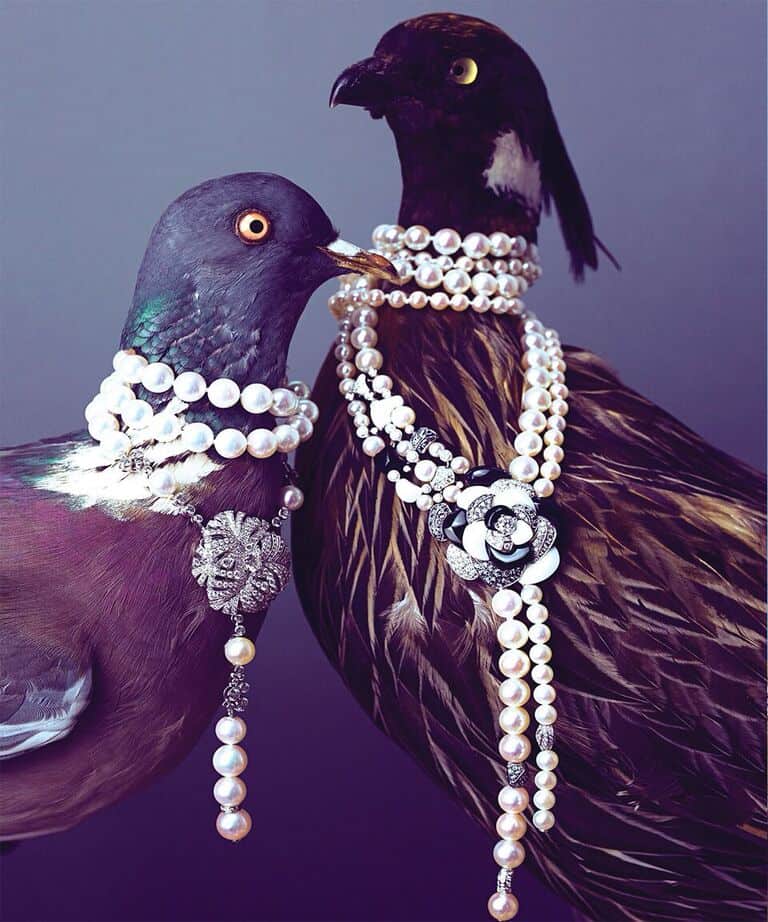 5 Top Jewels on the Fly (slideshow)