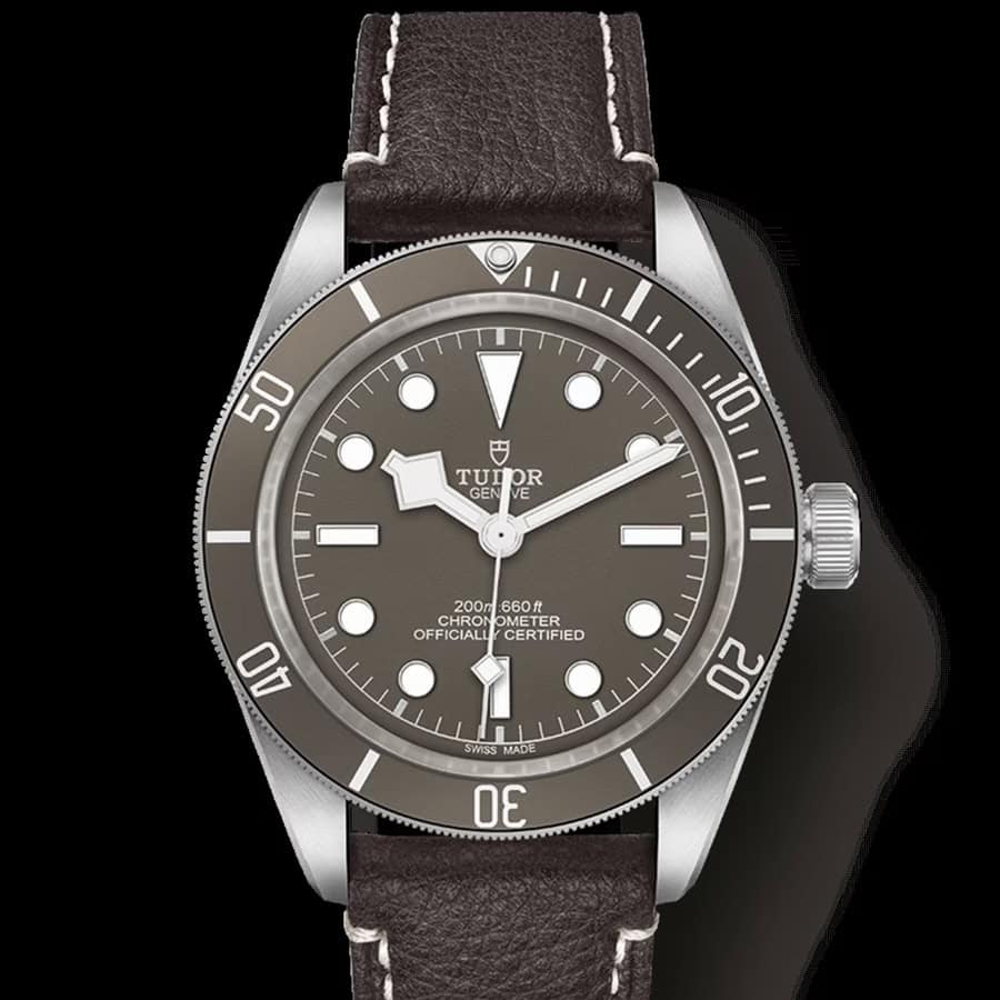 Dive Into Excellence: These Are Some Of The Greatest Diver Watches