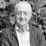 avatar for Uno sguardo da Ponte di Domenico Ocone