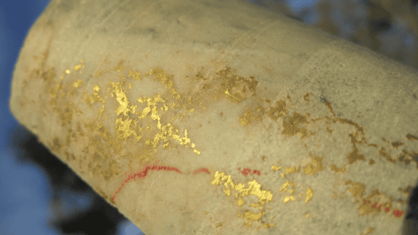 gold from Fosterville, Central Victoria, Lower Phoenix Fault Eagle ore body, drill hole