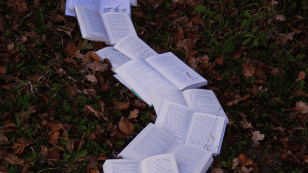 A trail of open books in a forest