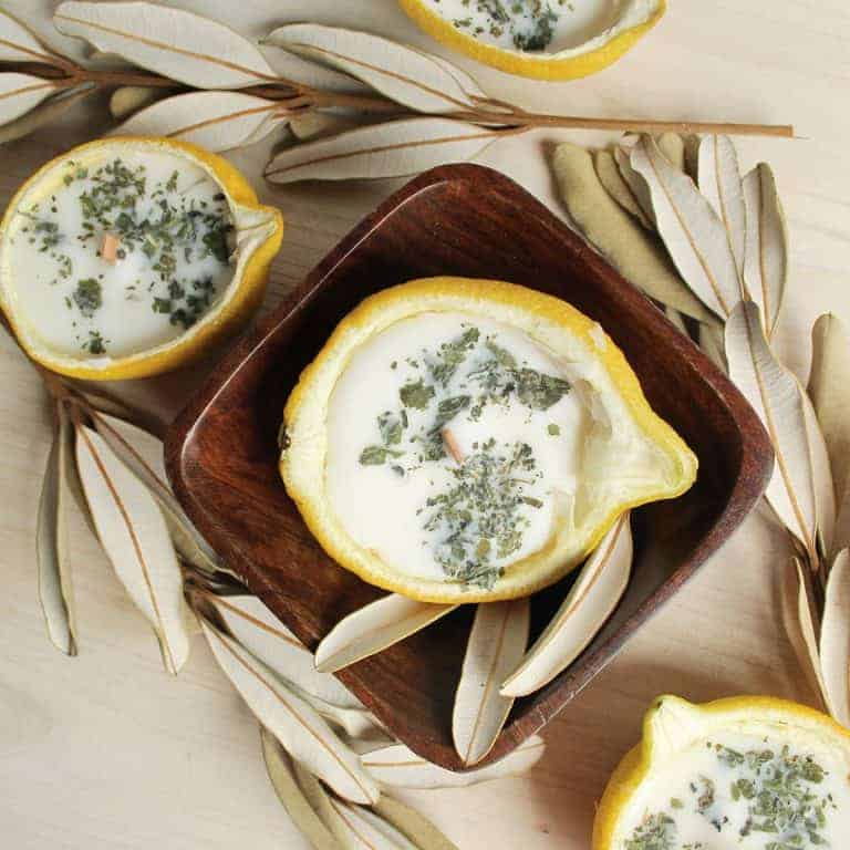 Citronella Lemon Bowl Candles