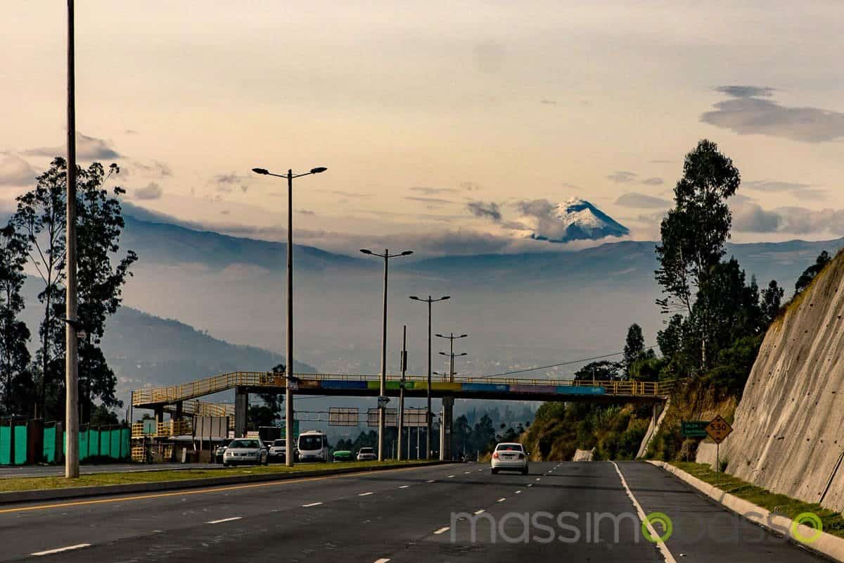 Ecuador Birdwatching Pappalacta Quito Guango Lodge -1