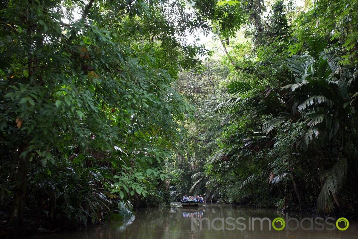 Gita In Barca Nel Parco Tortuguero