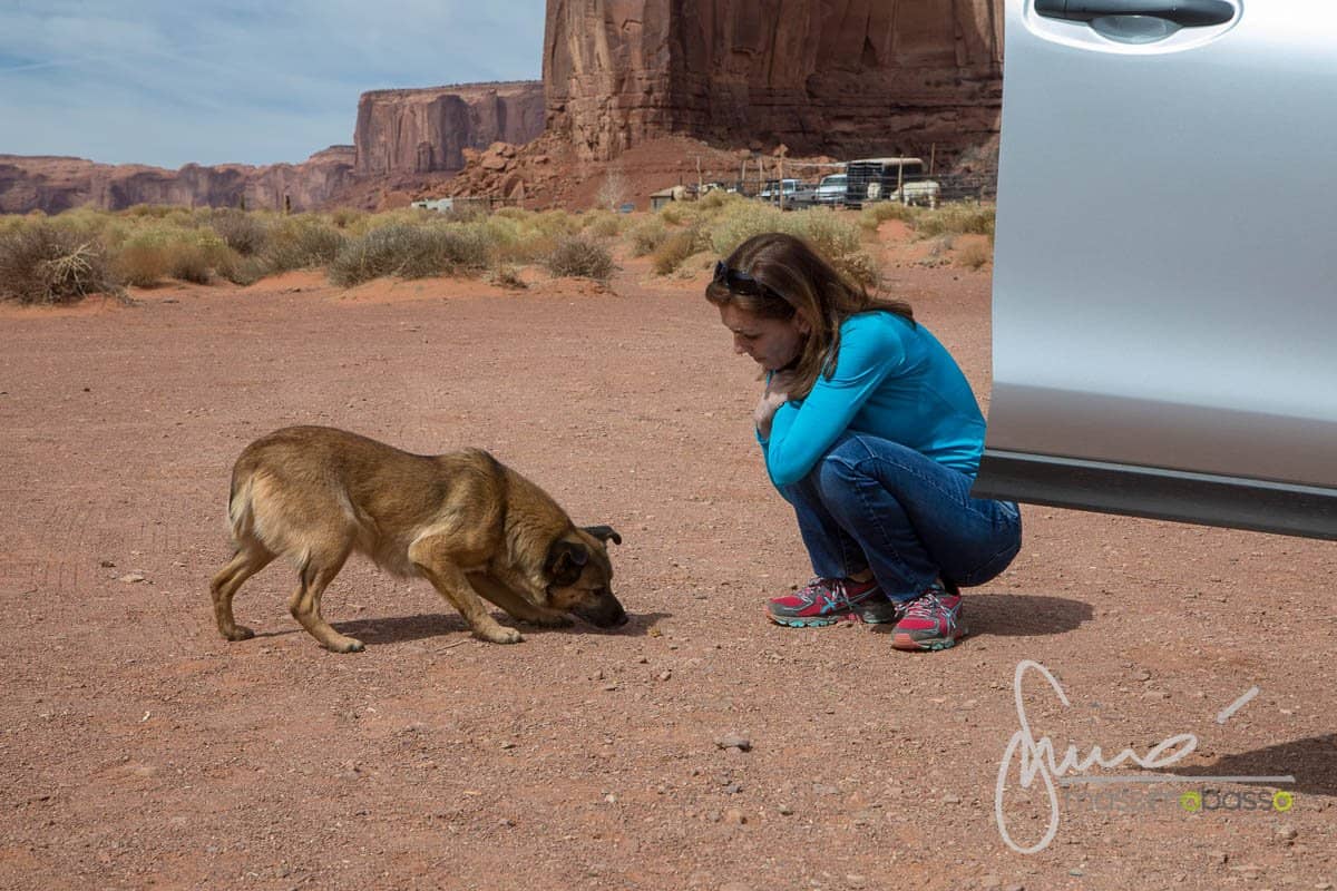 Monument Valley Navajo Monument