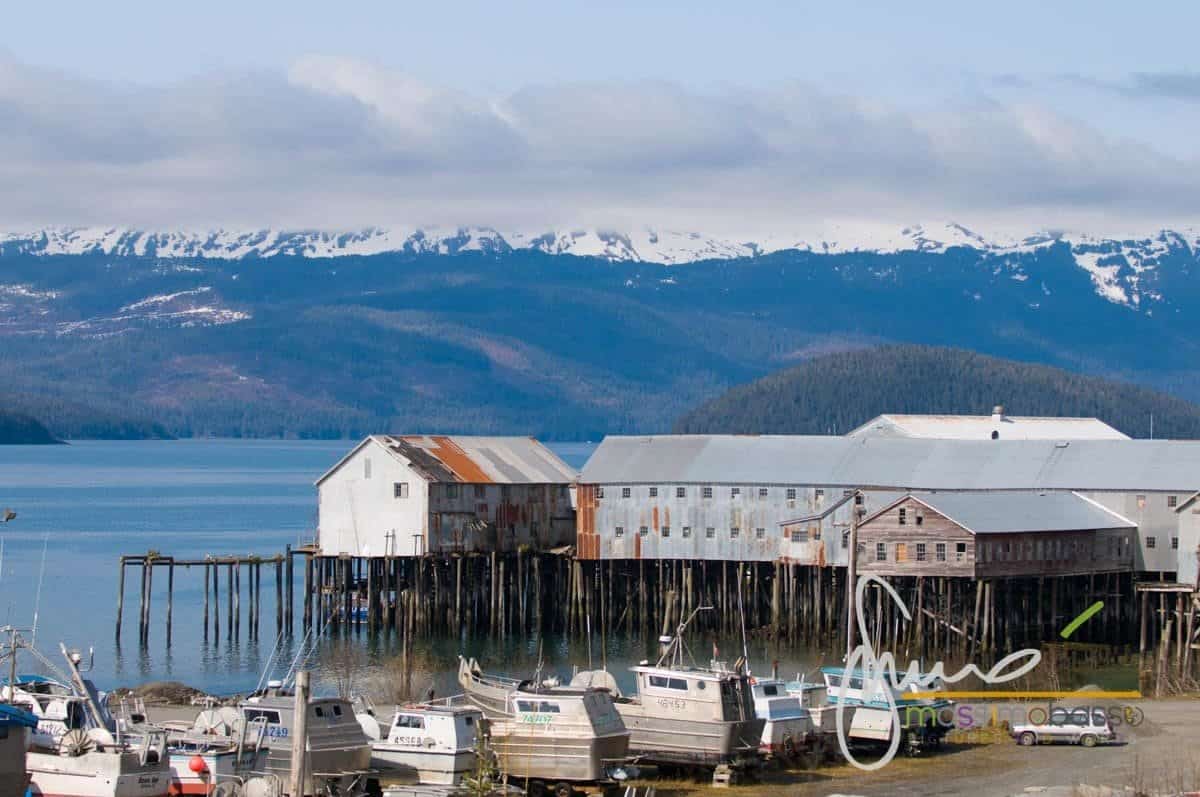 Immagini Dall'articolo Alaska In Primavera Un Itinerario Di Viaggio Insolito