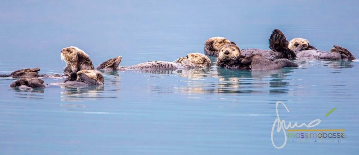 Immagini Dell'alaska Che Non Ti Immagini