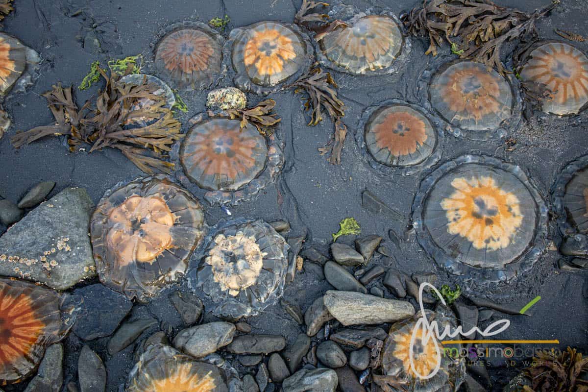 Immagini Dell'alaska Che Non Ti Immagini