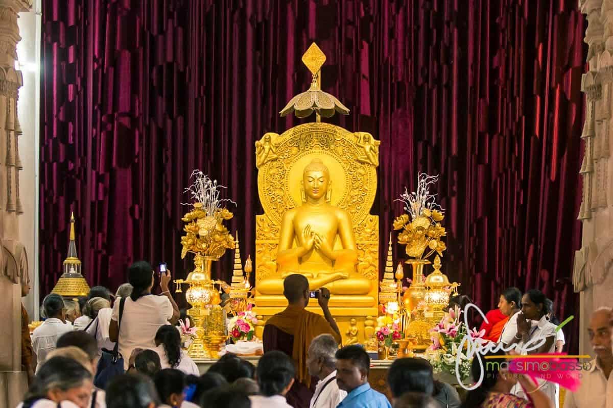 Sulle Tracce Di Siddharta Gautama, Il Buddha A Sarnath