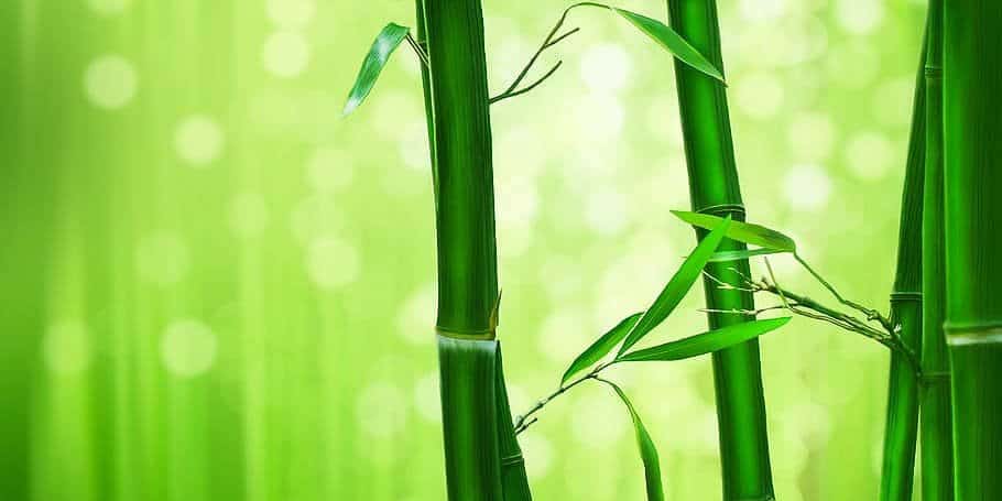 Calendario Tradizonale Cinese E 24 Periodi Dell'anno Cinese--2