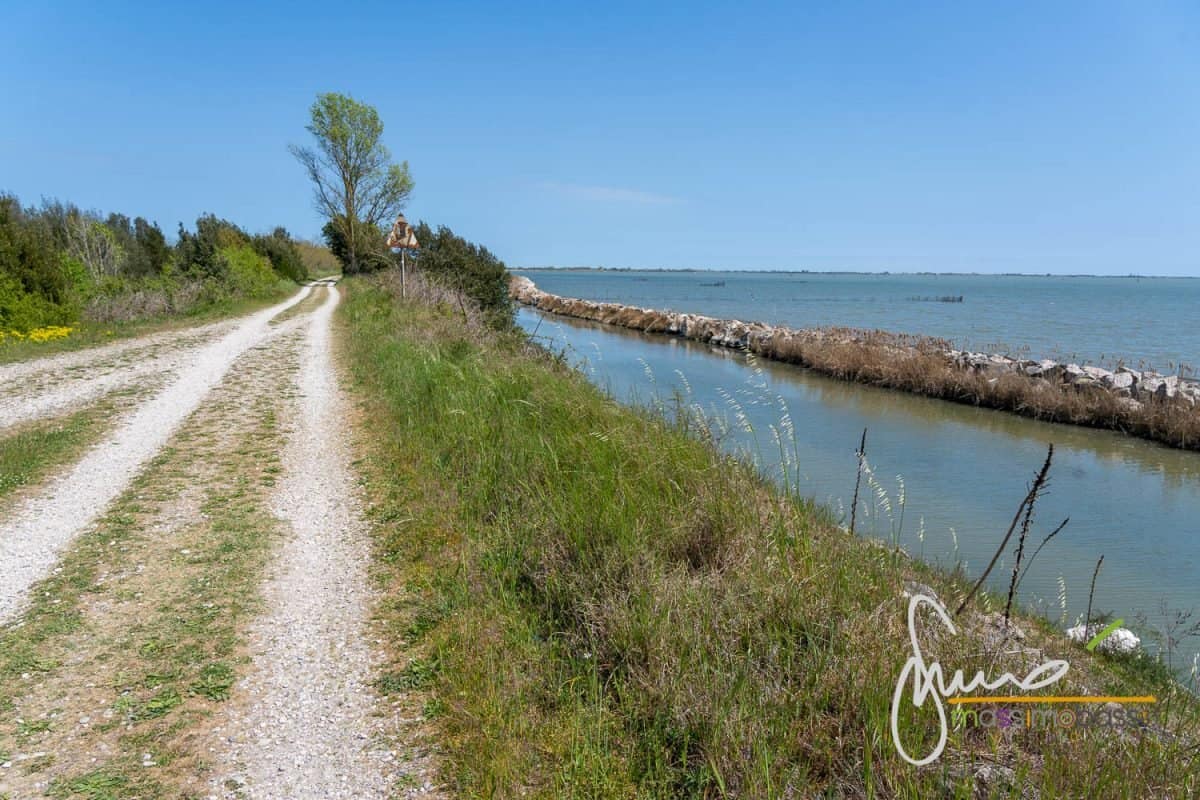 Il Parco Del Delta Del Po