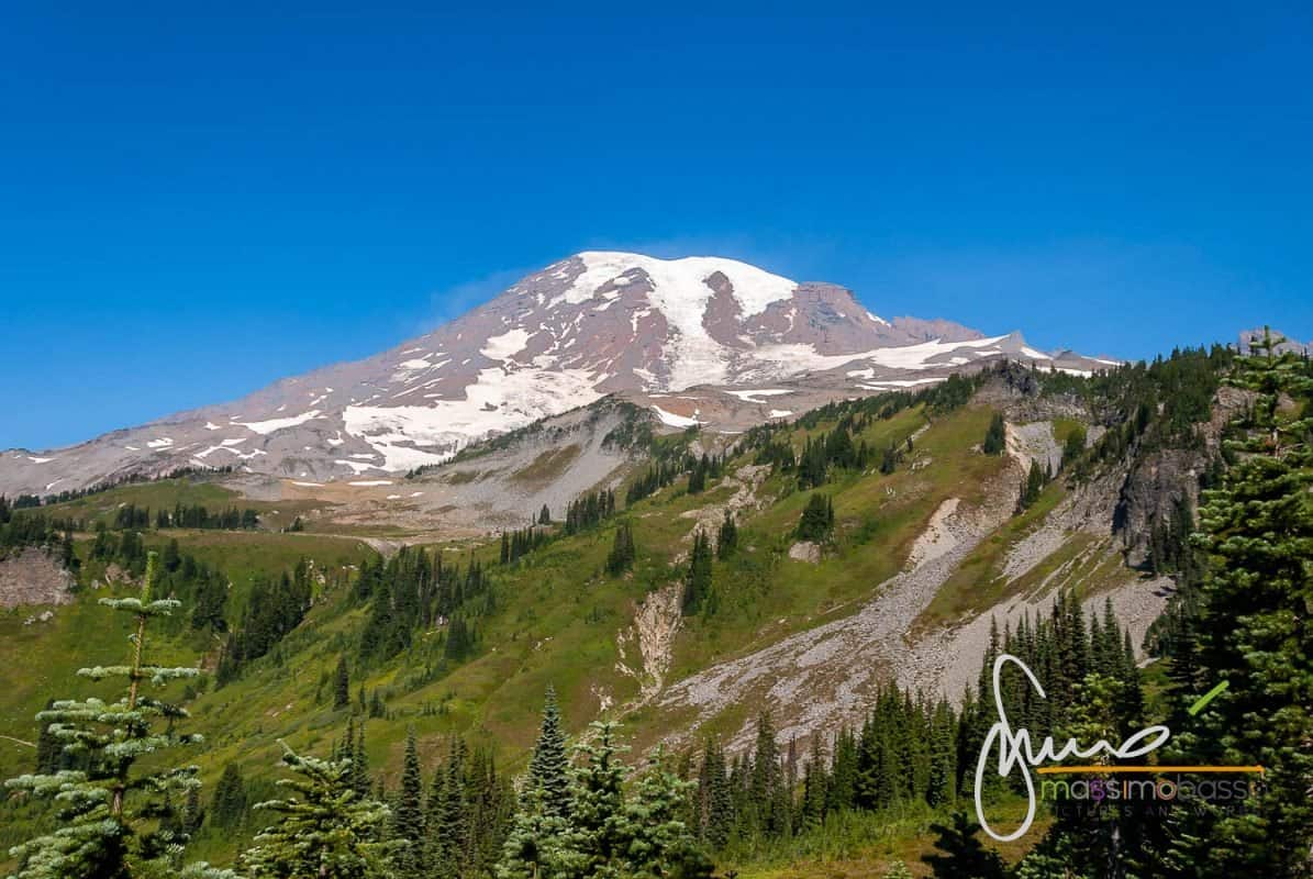 Mount Rainier - Stato Di Washington