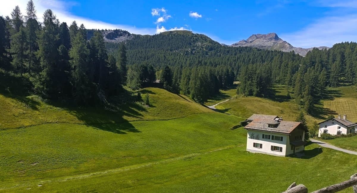 Escursione In Val Fex Engadina Svizzera_-2