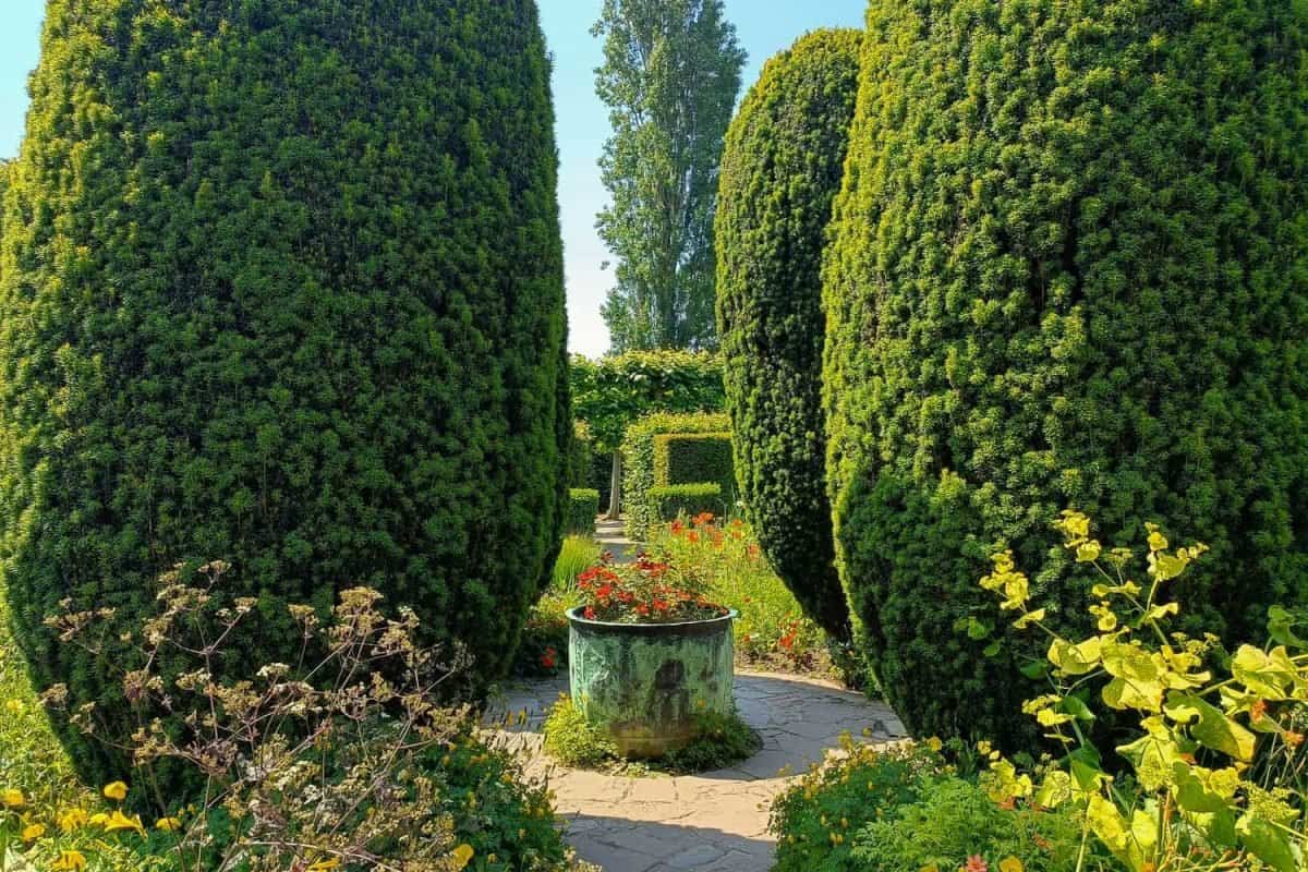 Il Castello Di Sissinghurst Castle And Gardens Nel Kent-3