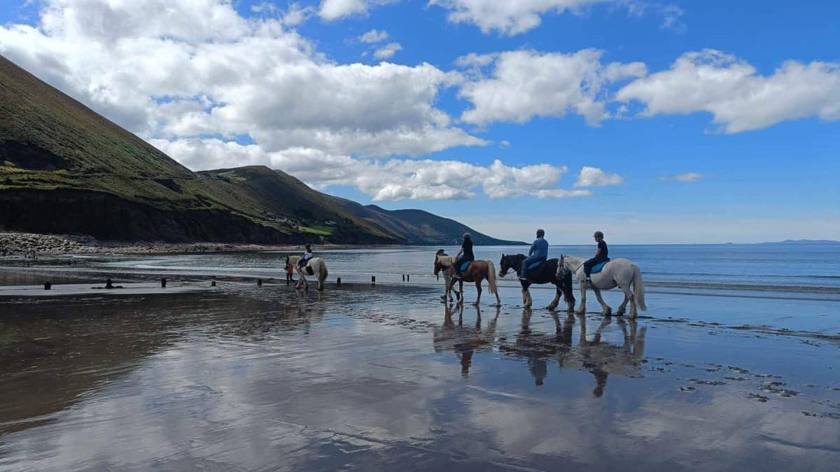 Il Burren Nella Verde Irlanda