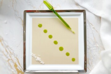 une huile d'aneth délicieuse avoir avec ses sauces et condiments maison