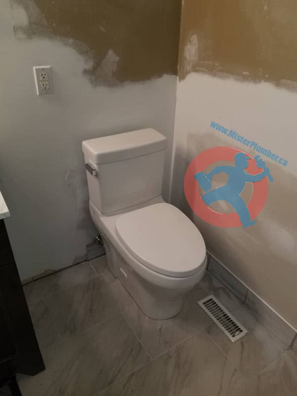 skirted toilet