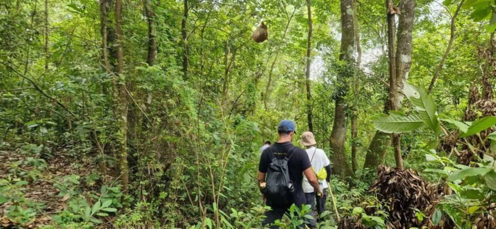 Hikers walking along a narrow dirt trail above a green valley with rice terraces and scattered karst hills in northern Vietnam