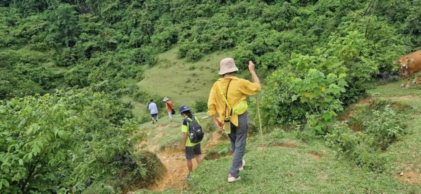 Trekker walking along a path beside rice, corn and tobacco fields leading towards Po Tau village with limestone hills in the distance