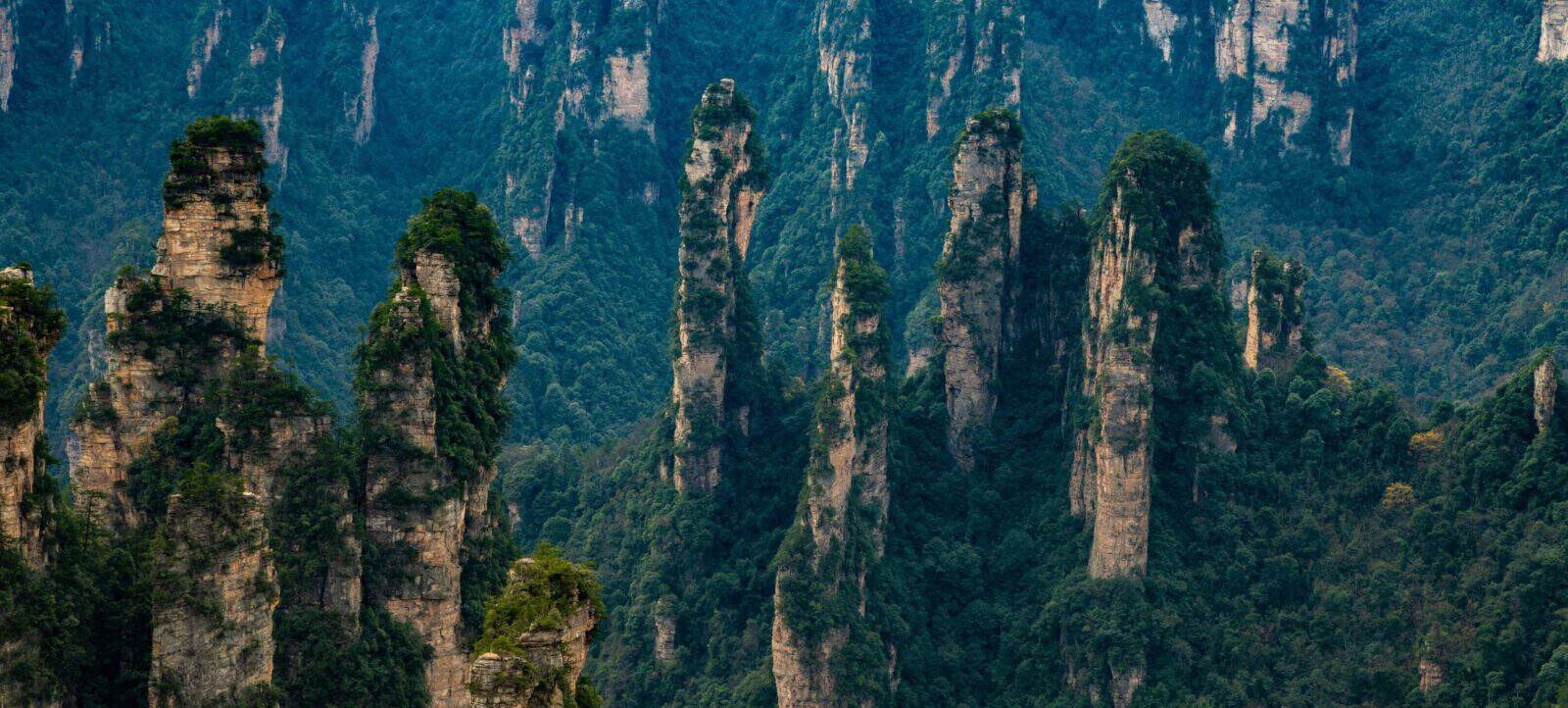 Parents and children walking along a forested path beside the Golden Whip Stream in Zhangjiajie, with tall cliffs rising above
