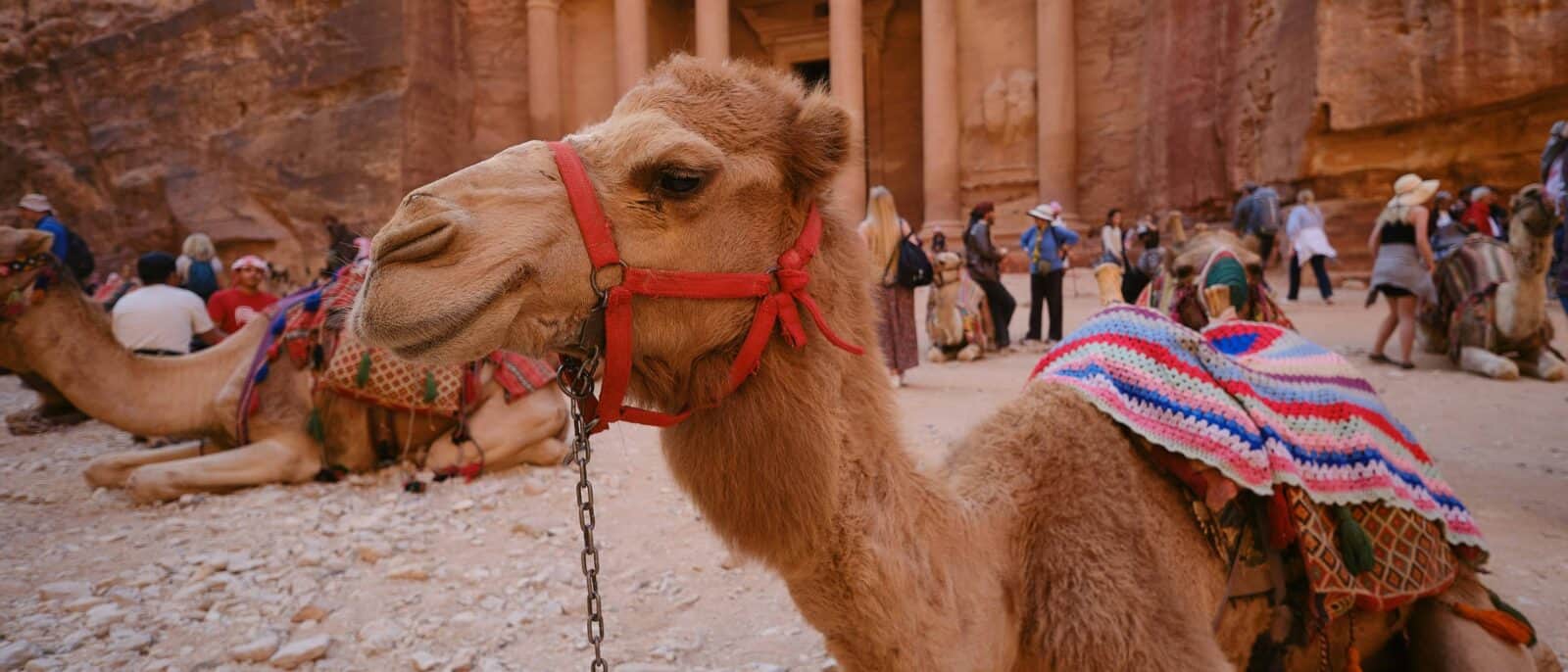 View from inside the narrow Siq in Petra towards the illuminated façade of the Treasury