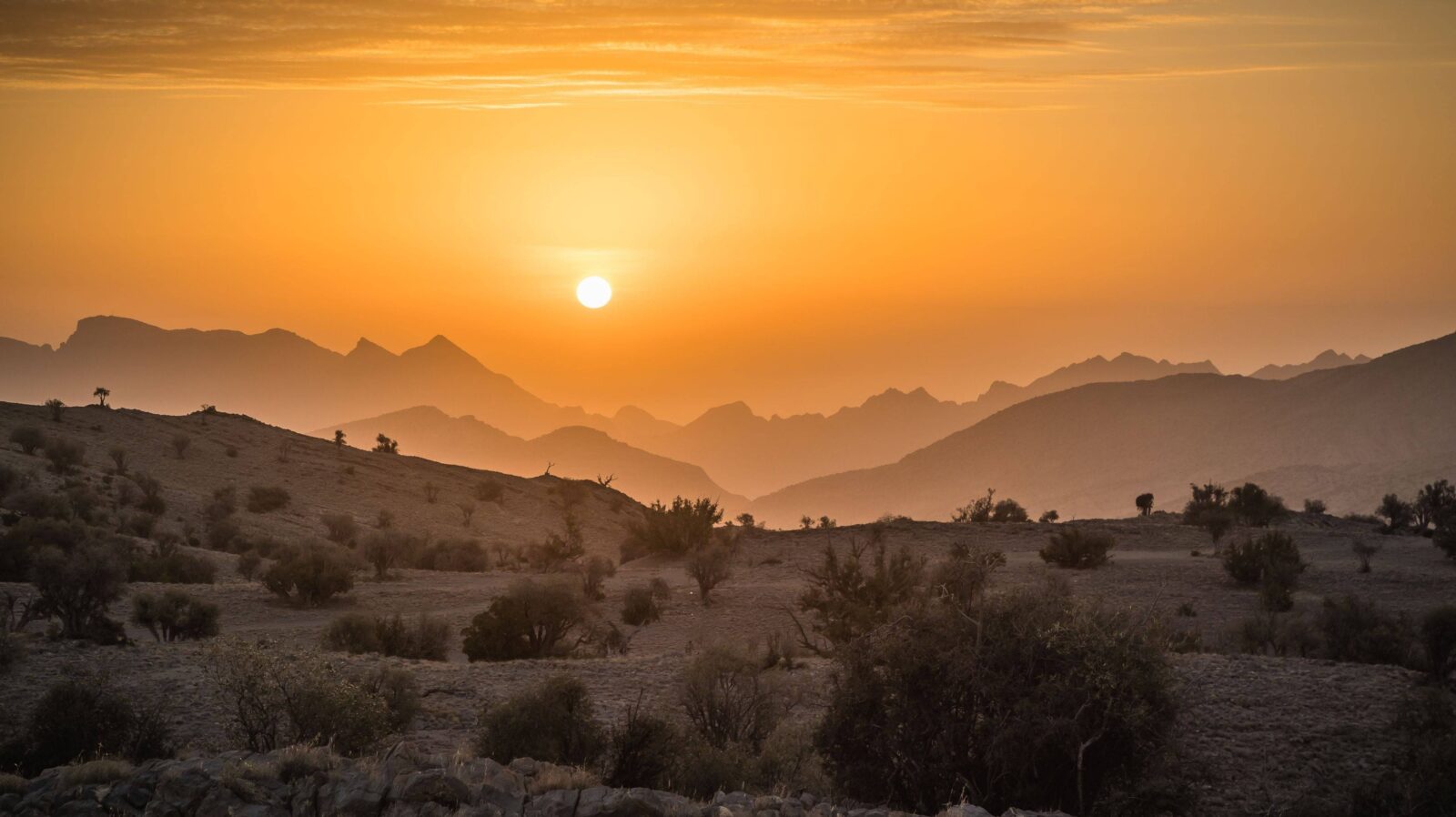 Panoramic view of Muscat with traditional white buildings, mosque domes and coastal mountains at sunset in Oman
