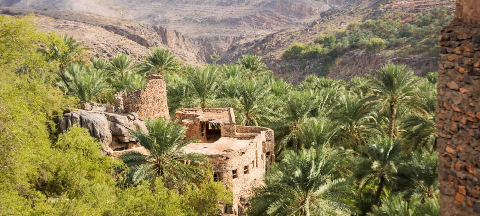 Terraced gardens and stone villages on the slopes of Jabal Al Akhdar in Oman