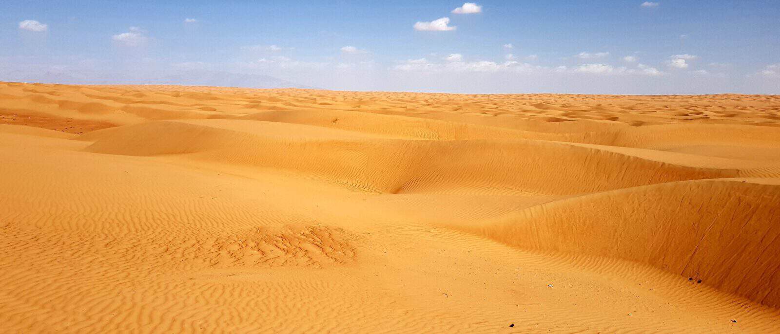 4x4 vehicles driving across wide sandy plains towards the sea in Oman