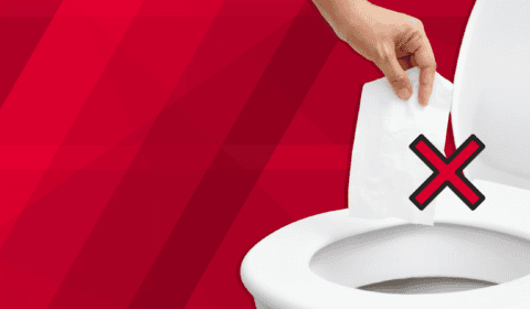 What Not To Flush. Flushable Wet Wipes