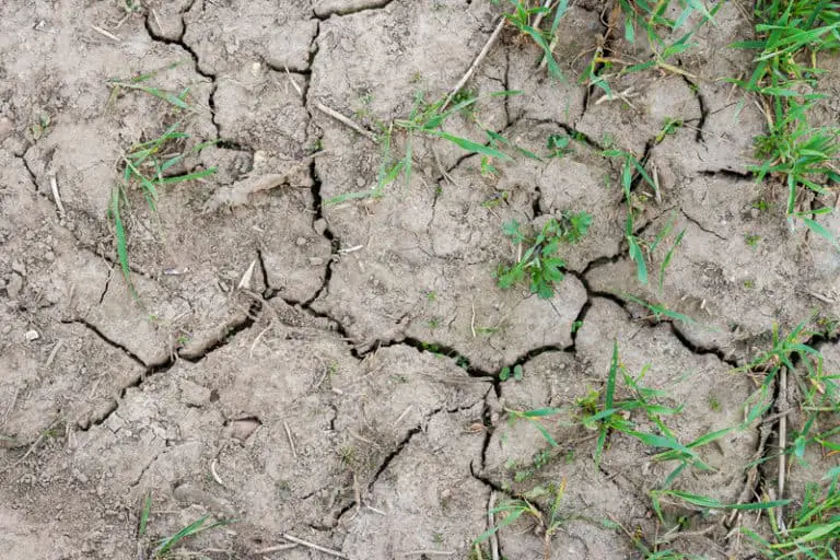 How To Prepare Your Yard For A Swing Set Or Playset Step By Step