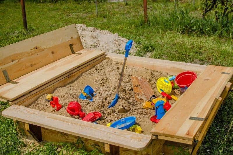 How To Keep Bugs Out Of Sandbox 10 Super Easy Tips