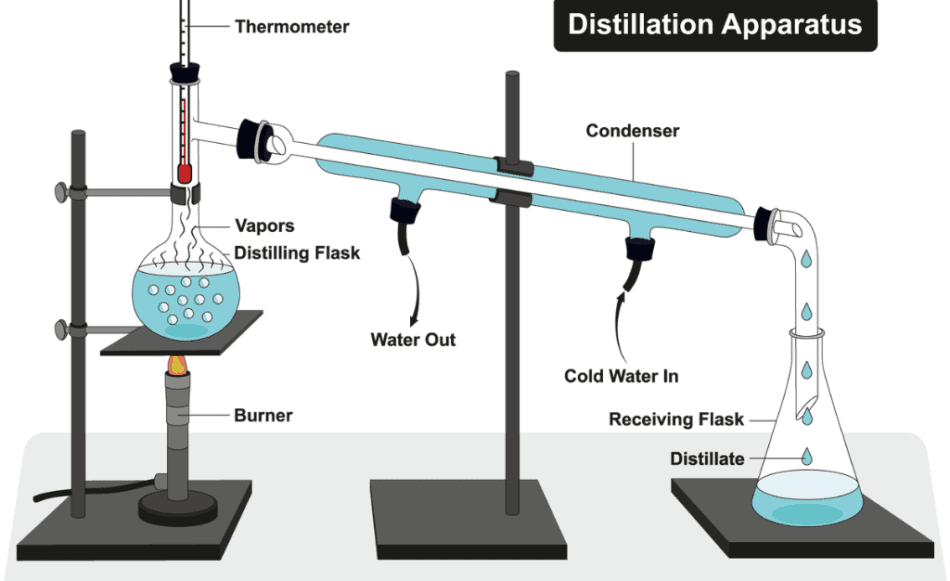 Distilled Water vs. Purified Water – The Ultimate Comparison – Synovis Life