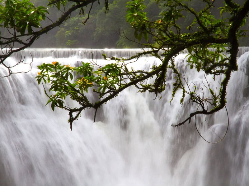 A hanging tree branch in focus, with out of focus wide waterfall behind it