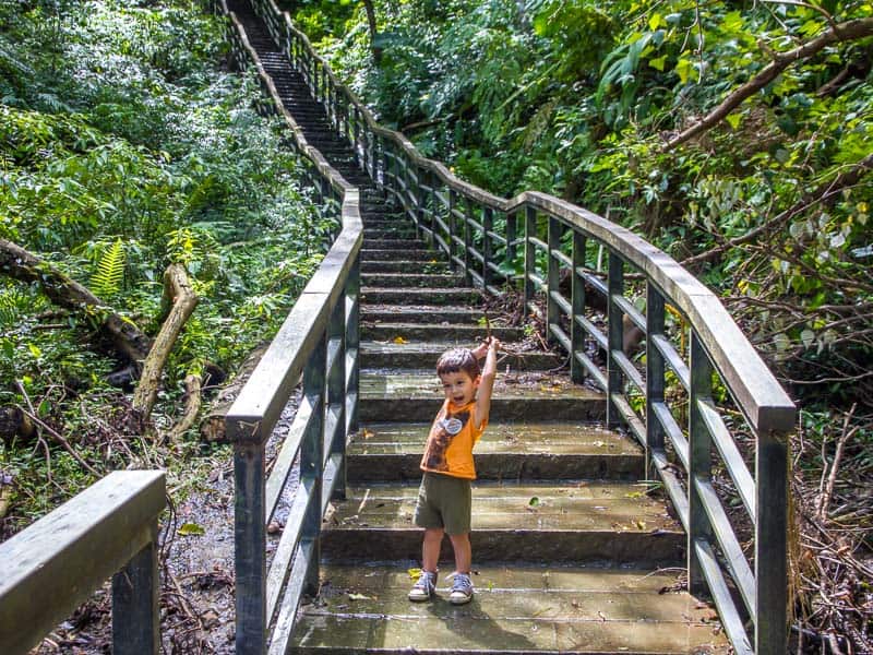 A young boy in shorts and orange tank top, standing at the bottom of a tall staircase going up into the forest, stretching his arms up in the air