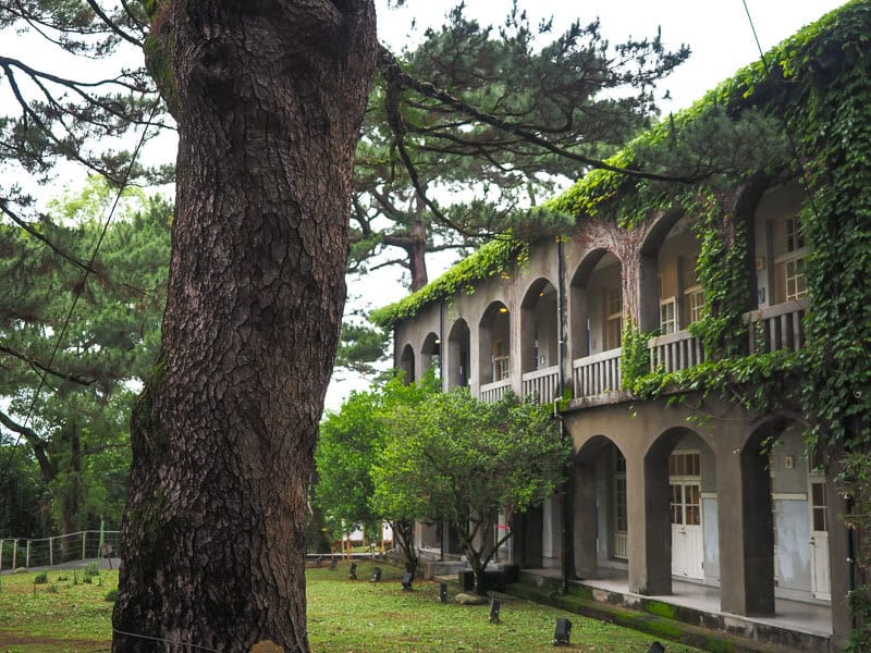 A history house with arched windows on two floors and pine trees in the garden in front of it