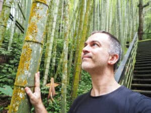 Nick Kembel tocuhing and looking up at a tall green stalk of bamboo with more bamboo and staircase behind
