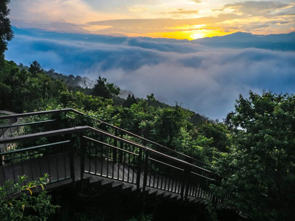 A wooden staircase through the forest at the bottom/foreground and sea of clouds with sunrise beyond