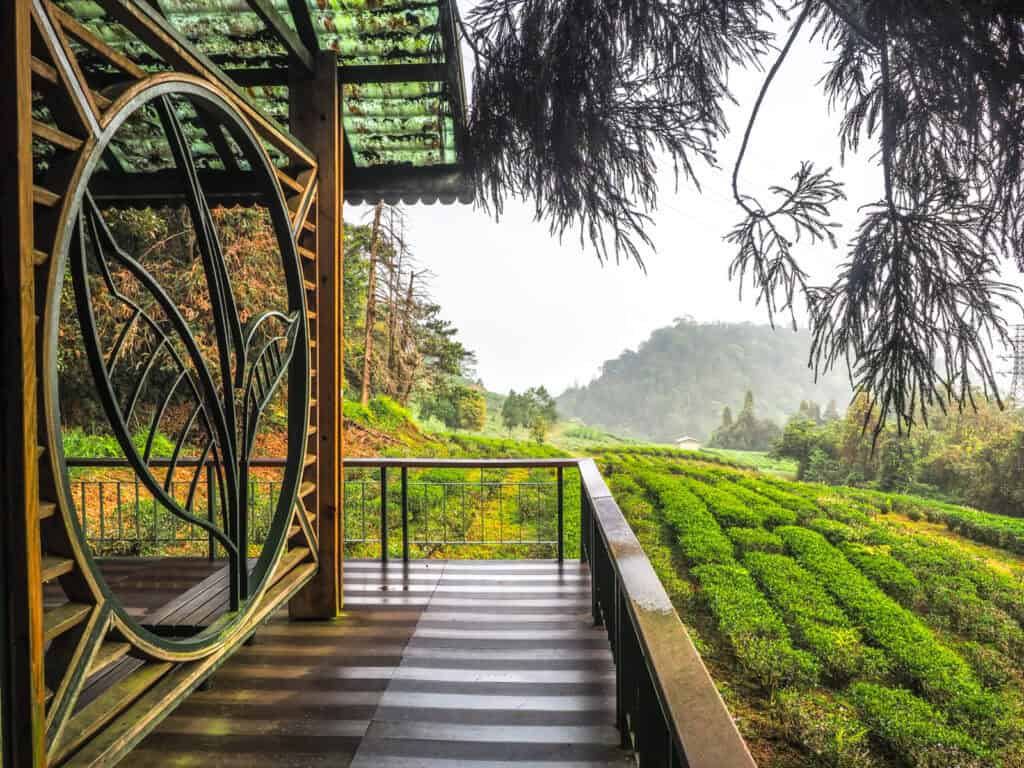 A viewing platform over a tea plantation