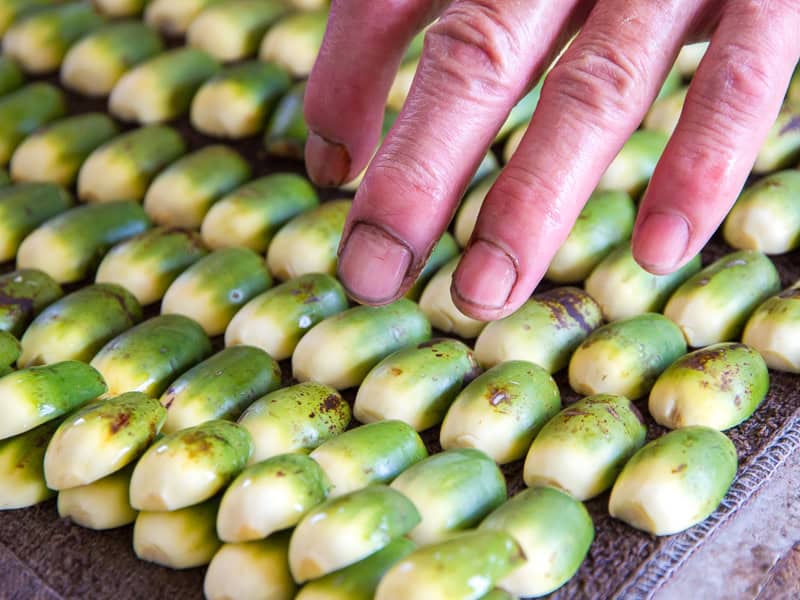 Some organized piles of betel nuts and a man's hand with dirty fingernails above them