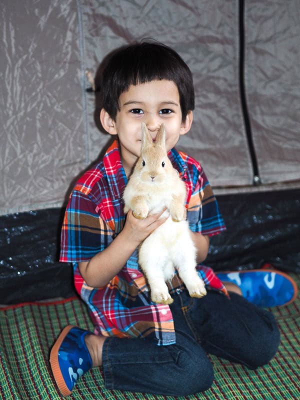 A young boy sitting beside a tent holding a little tan colored bunny