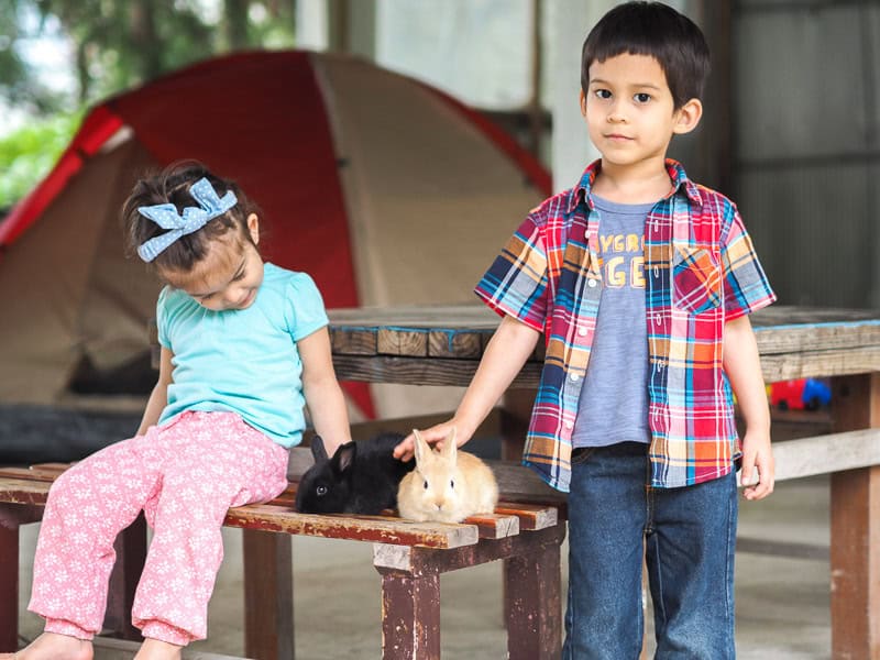 Two kids with bunnies in a campground in Jianshi Hot Spring area, Hsinchu