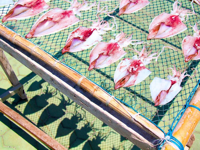A rack with several purple and white squid drying in the sun, with their shadows cast on the ground