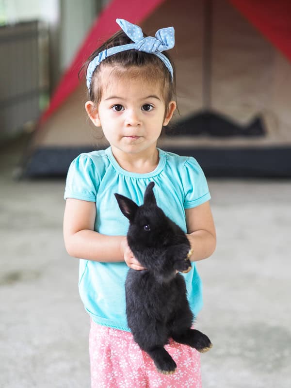 A young girl holding up a black bunny in front of a tent