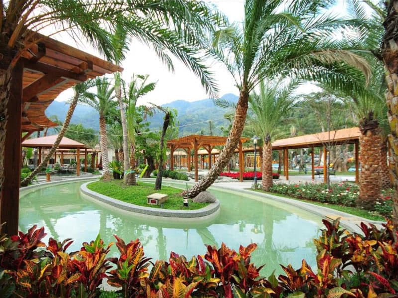 Looking between two palm trees at a hot spring pool