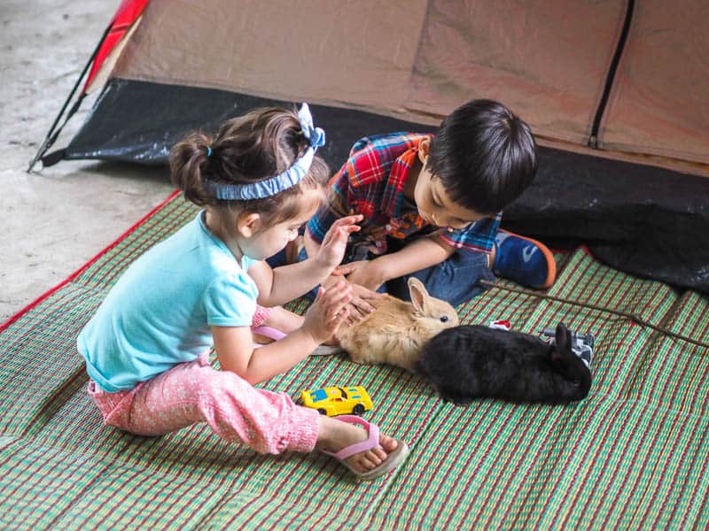 Two kids sitting on a beach mat beside a tent playing with bunnies