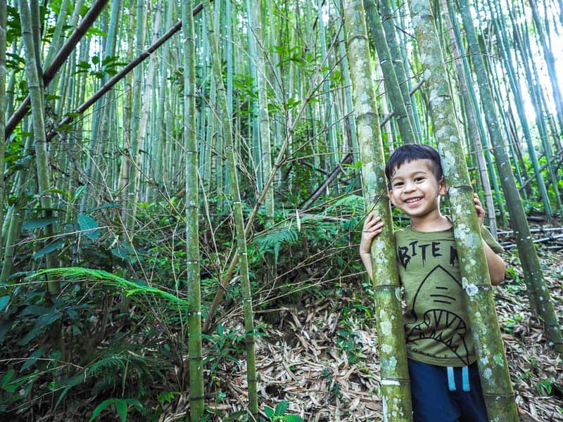 A young boy posing between two bamboo stalks in a bamboo forest