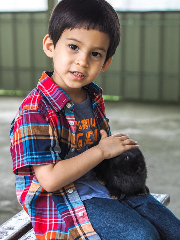 A young boy sitting on a picnic table holding a little black bunny