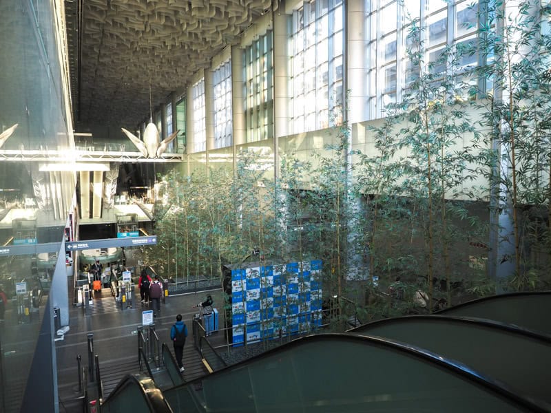 Escalators inside Taipei Main Station Airport MRT station with bamboo growing beside