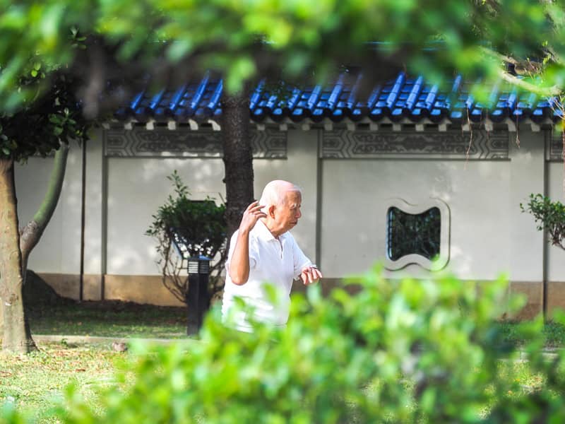 An old Taiwanese man doing taichi in a park, with a bush in the foreground and white wall with blue tiles on top behind